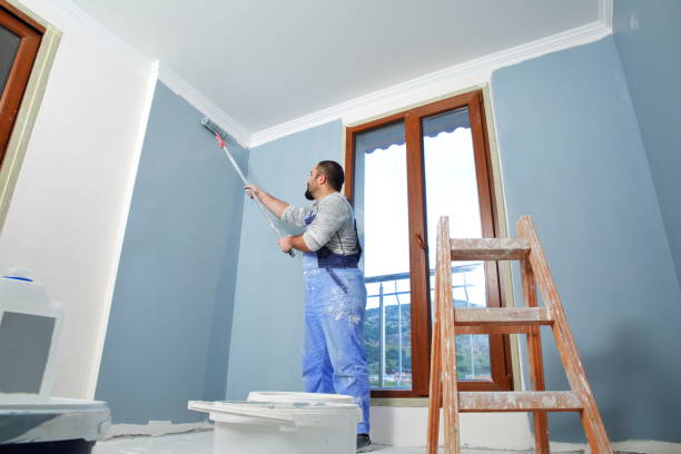 Best Asbestos and Lead Testing During Mold Inspection  in Stockton, IL