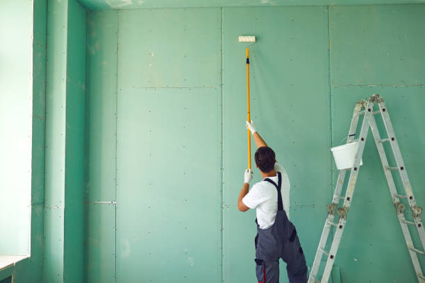 Best Commercial Mold Inspection  in Stockton, IL