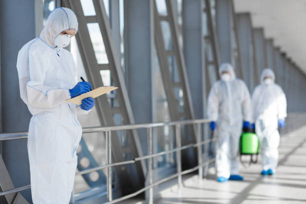 Trusted Stockton, IL Mold Removal Experts