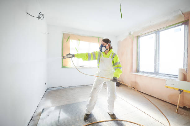 Best Mold Remediation for Healthcare Facilities  in Stockton, IL