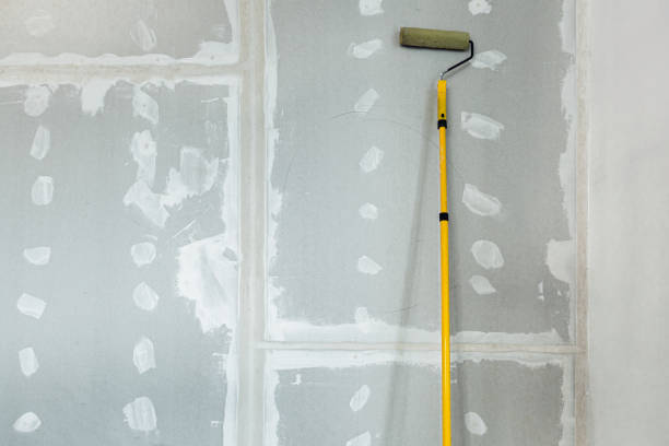 Mold Odor Removal Services in Stockton, IL