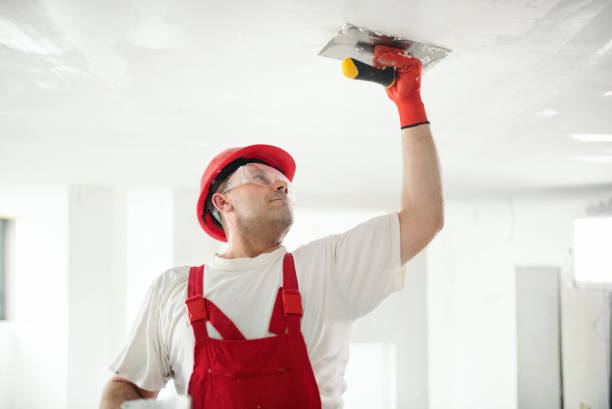 Best Environmental Consulting for Mold Prevention  in Stockton, IL