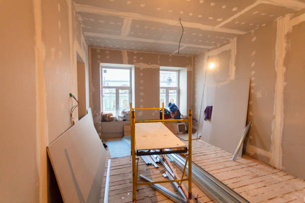 Best Attic Mold Removal  in Stockton, IL