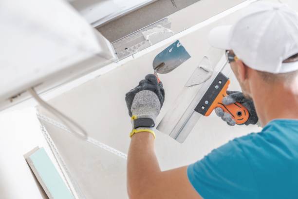 Best Black Mold Removal  in Stockton, IL